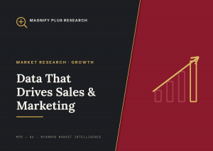Market Research Data That Drives Sales and Marketing in Myanmar